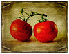You Say Tomato Lenabem Textures