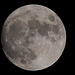 20100428 2447Tw [D~LIp] Vollmond, Bad Salzufeln