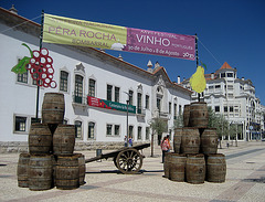 XVII National Fair of Pear Rocha + XXVII Festival of Portuguese Wine