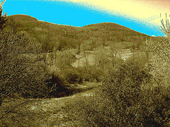 Paysage funéraire / Funeral landscape -  USA .   23 avril 2010 - Sepia légèrement postérisé avec ciel bleu photofiltré