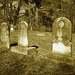 Old Burt cemetery /  Cimetière Old Burt - Près de Essex, NY- USA.  23 avril 2010 - Sepia