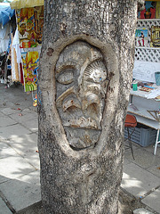 Visage d'arbre / Artistic tree's face - Place de l'artisanat