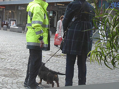 Swedish mature duo and dog /  Belles Dames suédoises et petit toutou gentil -  Ängelholm / Suède - Sweden.  23-10-2008