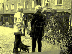 Swedish mature duo and dog /  Belles Dames suédoises et petit toutou gentil -  Ängelholm / Suède - Sweden.  23-10-2008 - Vintage postérisé