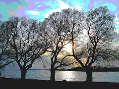 Coucher de soleil / Sunset - Dans ma ville / Hometown - 24 avril 2010- Couleurs ravivées et postérisation