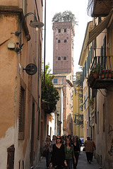 Lucca : Guinigi-Turm
