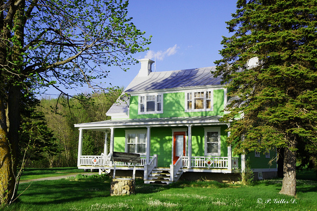 La petite maison verte