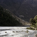 Mule train - Kali Gandaki