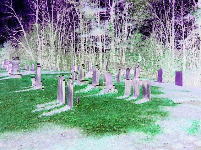 Old Burt cemetery /  Cimetière Old Burt - Près de Essex, NY- USA.  23 avril 2010 - Négatif RVB