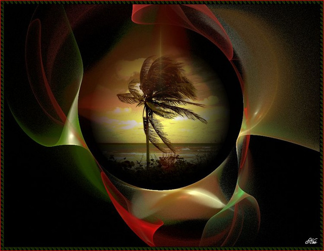 Vent et palmier / Wind and palm tree - Création Krisontème
