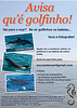 Dolphin Sight Warning!