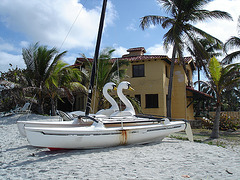 Swans sailing boat /  Voiler cygné - Varadero, CUBA.  3 février 2010