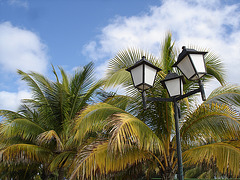 Lampadaires / palmiers / nuages -  Street lamps / palm trees / clouds - Varadero, CUBA.  3 février 2010