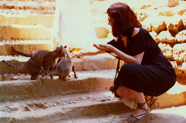 A Rabat en avril 1979  dans le palais de Chella