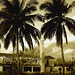Sunrise /  Lever de soleil -  Varadero, CUBA.  7 février 2010- Sepia