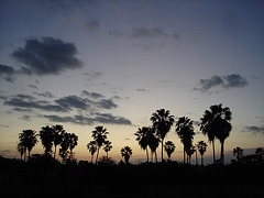Lever de soleil / Sunrise -  Varadero, CUBA.  Février 2010