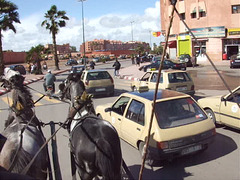 Maroc 259