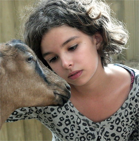 "my family and other animals " 3 "my family and other animals " 3