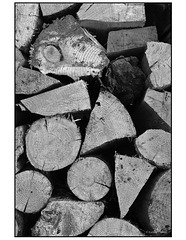 Wood Pile in black and white