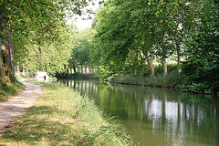 Canal du Midi en aval de Poilhes