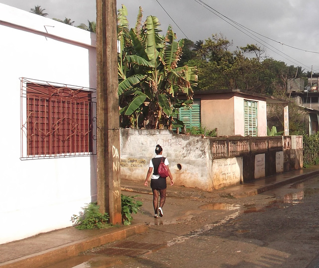 Rainy tags cuban girl / Cubaine sexy parmi les graffitis - Recadrage