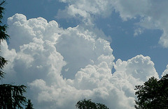 Sommerwolken - Cumuluswolken