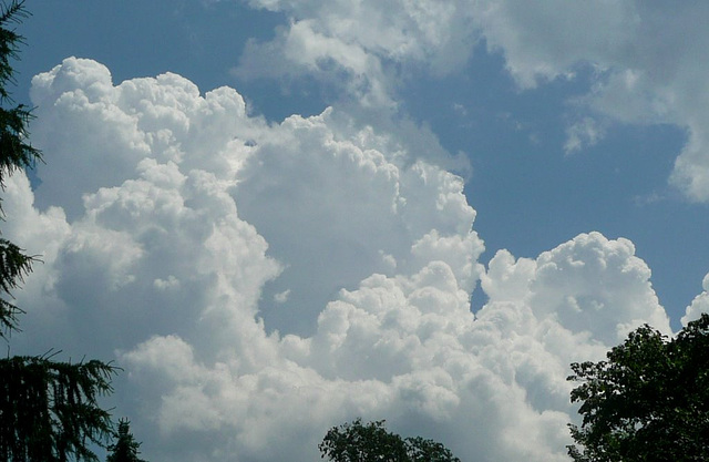 Sommerwolken - Cumuluswolken