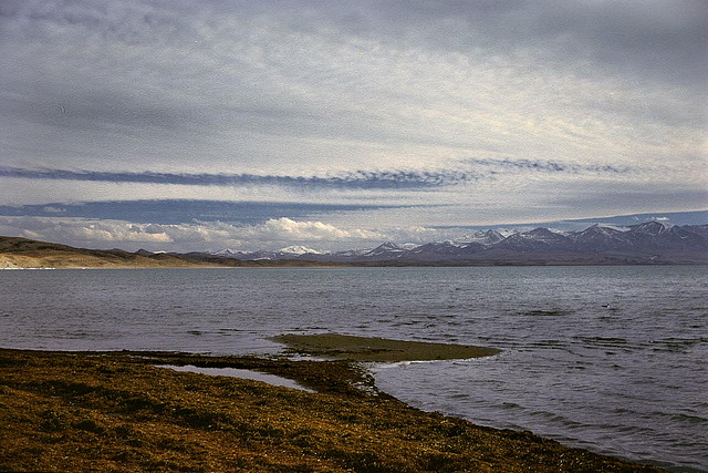 Lake side at the Manasarovar (4556 m)