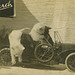 Packard Car Cats