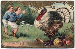 Thumbing the Turkey