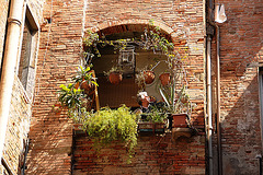 Lucca: Innenhof
