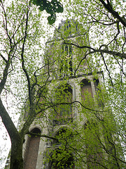 Torre en Utrecht / Turo en Utrecht