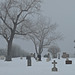Fog at the Cemetery