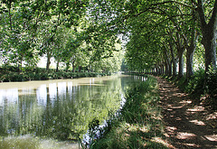 Le canal du midi près d'Argens-Minervois