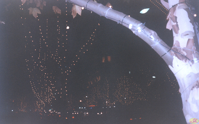 1997-07-20 003 Aŭstralio, nokte iluminata Adeleido
