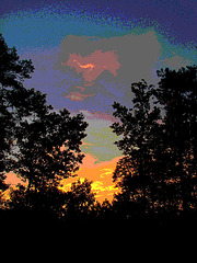 Lever de soleil / Sunrise - Pocomoke, Maryland. USA - 18 juillet 2010 - Couleurs ravivées en postérisation