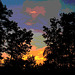 Lever de soleil / Sunrise - Pocomoke, Maryland. USA - 18 juillet 2010 - Couleurs ravivées en postérisation