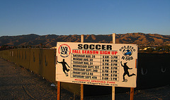 Soccer Season (6010)