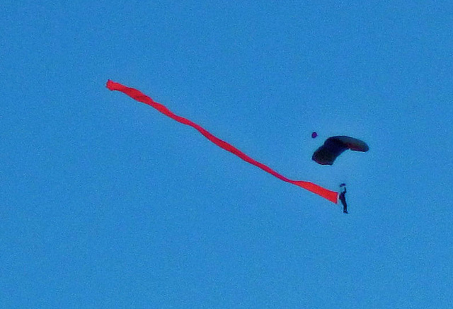 Skydiver (1320)