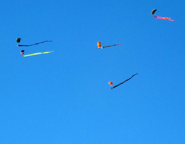 Skydivers (1316)