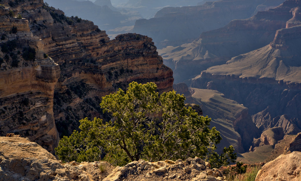 Grand Canyon from Powell Point