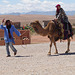 Camel* Ride