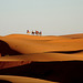 Distant Camels* by Early Evening Light