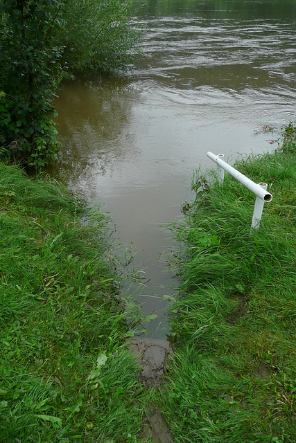 Hochwasser am 9.8.2010