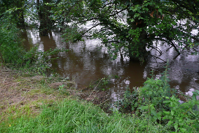 Hochwasser am 9.8.2010