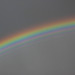 Double Rainbow (1123)