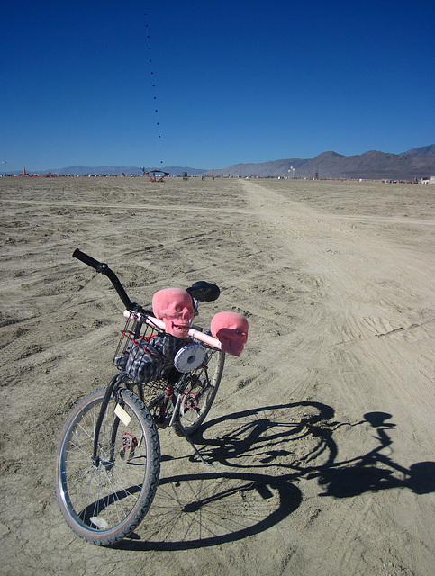My Burning Man Bike (1227)