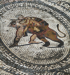 Volubilis- Mosaic- Heracles Fighting a Lion