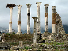 Volubilis- Columns with Storks' Nest