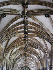 Cloister roof